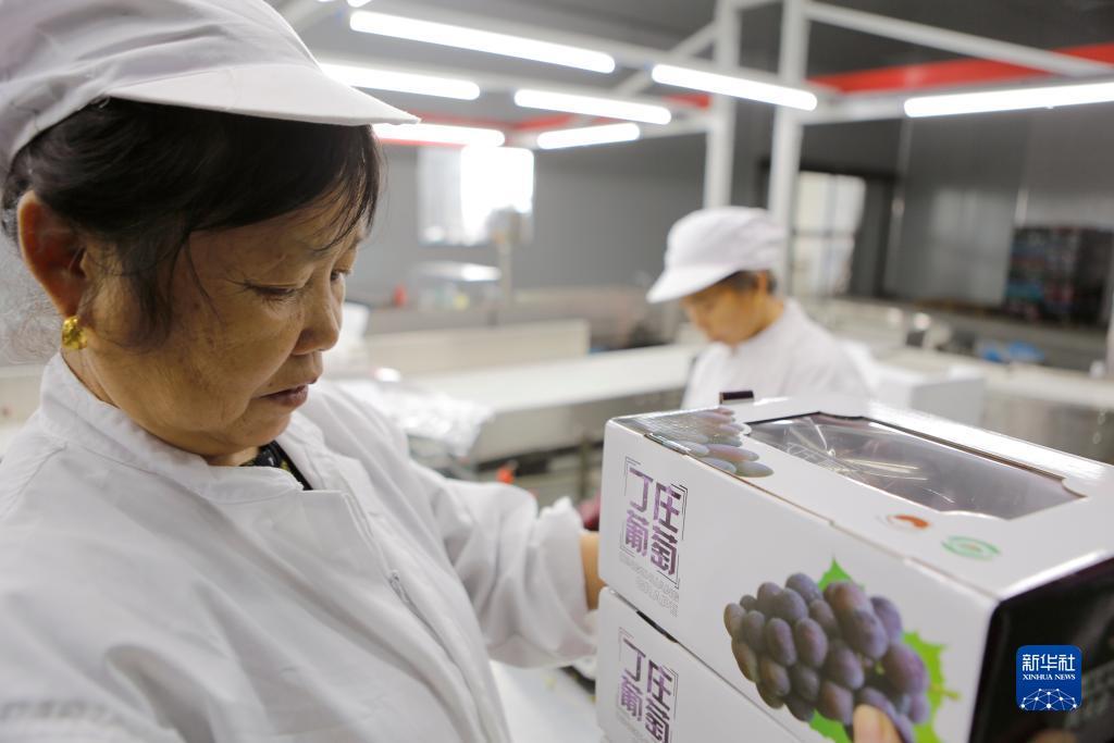 最新电玩城游戏大厅